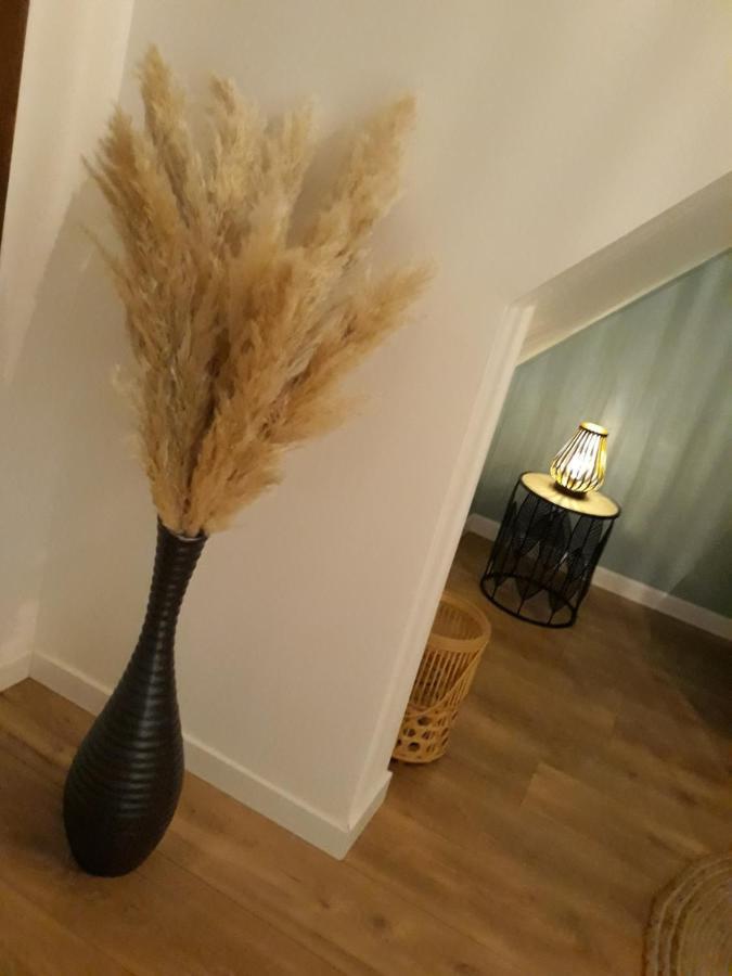 La Canisse 3 : Joli Appartement - Boulogne Sur Mer ภายนอก รูปภาพ